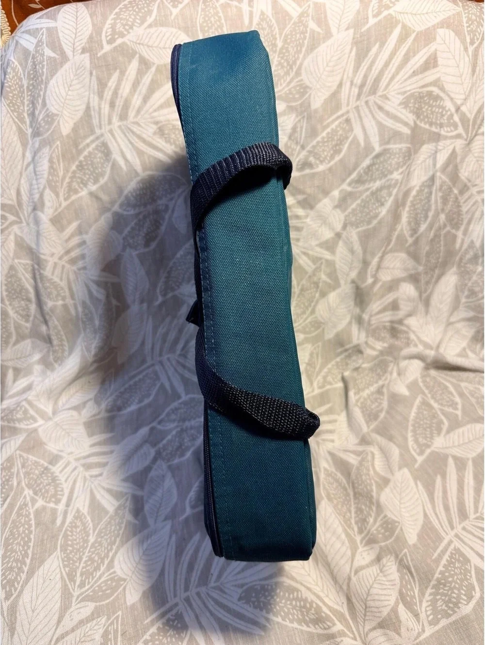 Pyrex Portables Insulated Carrying Case Teal Hot Cold Thermal No Inserts